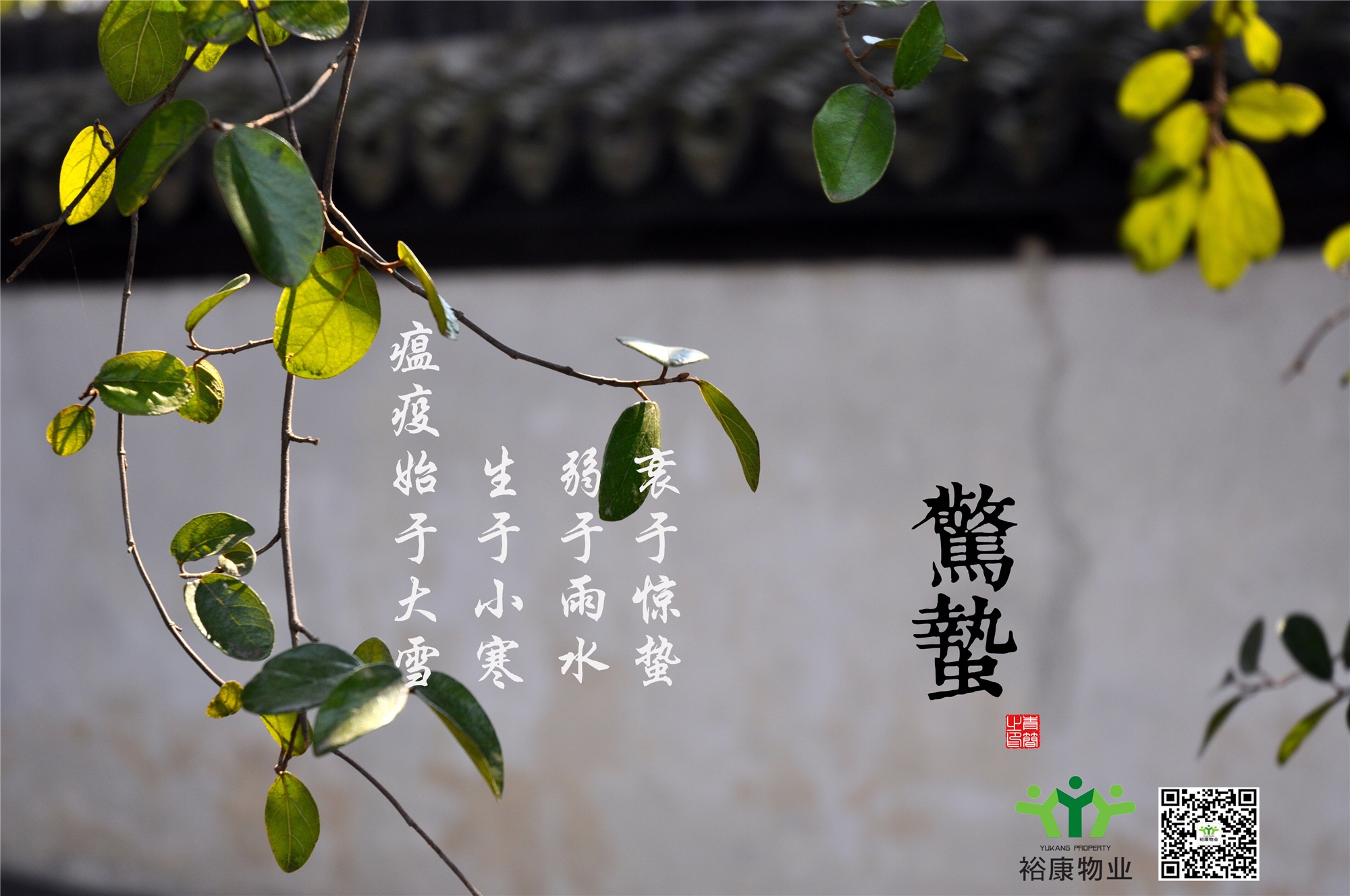 庚子春，二月十二，驚蟄日