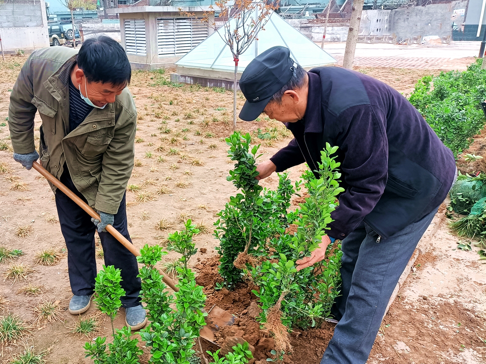 “綠色呼吁”——?？滴飿I(yè)植樹活動(dòng)
